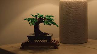 Build in Real Time Bags 1234 LEGO Bonsai Tree 10281 Relax and Enjoy LEGO Botanical Collection [upl. by Pail]