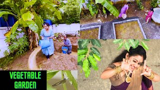 My Home Vegetable Garden Set up  Meghna Vincent  Meghnaz Studiobox [upl. by Evilo]