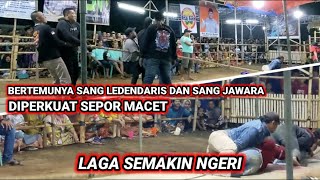 Laga Semakin Ngeri Bertemunya Sang Legendaris dg Sang Jawara Tarik Tambang MURNIJAYA🔥PUTRA TIDU [upl. by Olrac]