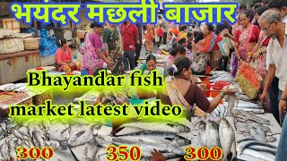 भयंदर मछली बाजार  Bhayandar fish market latest video  bhayandar fish market [upl. by Meid422]