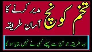 Tukhme Konch mudabbar karny ka asan tareeqa By Hakeem Zia Shahid [upl. by Ahsaten]