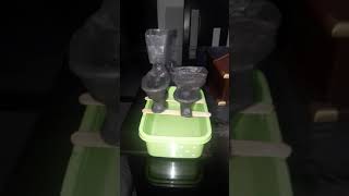 NEW clay toilet and comparison ¿wich is the best [upl. by Licha]