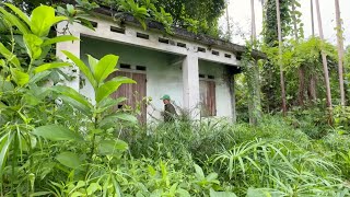 CLEAN UP AN ABANDONED HOUSE  Clear away overgrown vegetation [upl. by Illoh]