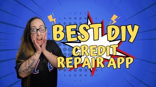 The Best DIY Credit Repair Software for Beginners in 2023 [upl. by Orazio149]