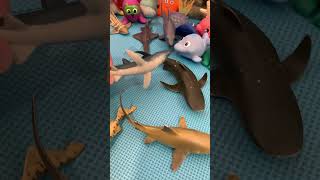 Sea animal toys [upl. by Akenaj]