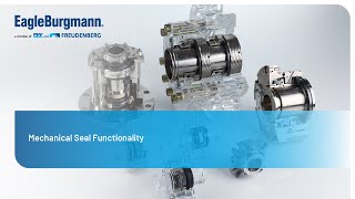 EagleBurgmann  Mechanical Seal Functionality [upl. by Hayilaa]