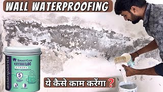 Damp Wall Treatment  How to Repair Damp Wall  Wall Waterproofing  Wall Dampness Treatment [upl. by Suisyola]