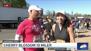 Runners hit the pavement for Cherry Blossom 10miler  NBC4 Washington [upl. by Osicran]