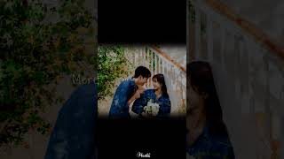 khali khali dil ko bhar denge mohabbat se lofi song lyrics status reels 4k viralsong lofi [upl. by Haman]