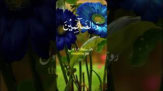 Momin mard or momin orat islamicvideo qurantilawathearttouchingvoice youtubeshorts quran [upl. by Kciwdahc]