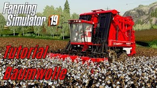 LS19 Baumwolle Tutorial  für Einsteiger [upl. by Daley]