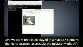 WebKit getUserMedia GStreamer implementation [upl. by Vincenty776]