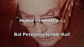 Bal Peteğinin İçinde Kul Münir Derman ks [upl. by Delorenzo]