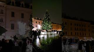 Choinka na Rynku i Kościół Mariacki [upl. by Eiryk]