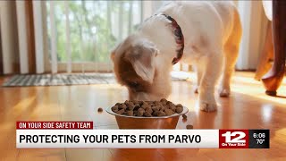 Protecting your pets from parvo [upl. by Grosmark]