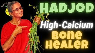 HadjodPirandai Best of Calcium rich foods for Bones in India [upl. by Anirdnaxela]