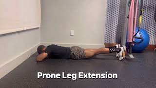 Prone Leg Extension meniscus repair [upl. by Neggem]