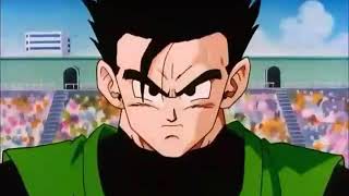 Gohan turns ssj2 in the tenkaichi budokai [upl. by Rehctaht]