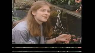 Helen Slater in quotAmy amp the Angelquot 1982 [upl. by Eeimaj]