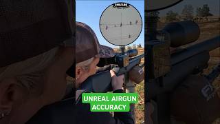 Unreal Airgun Accuracy  FX DRS Classic  Best PCP Airguns in the world  FX Airguns fxairguns [upl. by Llertnad]