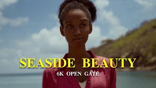 SEASIDE BEAUTY  6K OPEN GATE  BLACKMAGIC CINEMA CAMERA 6K FULL FRAME  PYXIS CINEMATIC  BMCC6K [upl. by Ydnerb]