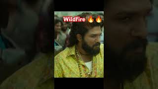 fire nhi wildfre pushpa2 wildfire youtube shorts [upl. by Procora545]