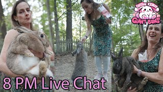 Giant Bunz  Flemish Giant Bunny Rabbit Stream  Live Chat  Day 125  20241114 [upl. by Boyse736]