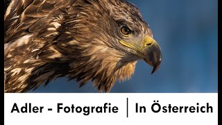 Adler Fotografie in Österreich [upl. by Adaliah]