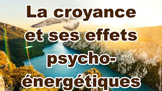 Entretien 0032 La croyance et ses effets psychoénergétiques [upl. by Ahtnama]