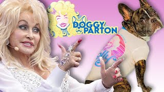 Dolly Parton is making wigs for dogs 🐶👩🏼 [upl. by Atteram]