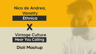 Nico de Andrea Vanetty  Ethnica x Vintage Culture  Hear You Calling Dioli Mashup [upl. by Yralam518]