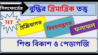 বুদ্ধির তত্ত্ব গিলফোর্ডের ত্রিমাত্রিক তত্ত্ব I GUILFORD’STRI DIMENSIONAL THEORY intelligence [upl. by Noy693]