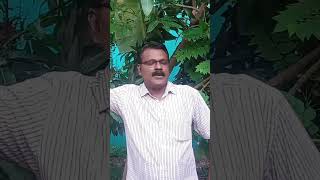 Unna nenachen music trendingshorts song [upl. by Gault185]