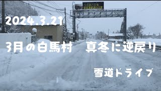 【白馬村】3月なのに一面雪景色 道の駅近くのセブンイレブンからエイブル白馬五竜スキー場への道のり [upl. by Florri]