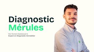 Diagnostic immobilier  comment se débarrasser des Mérules  🍄 [upl. by Adnof353]