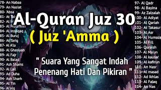 Bacaan Al Quran Merdu Juz 30JUZZ AMMAPenenang Hati JiwaampFikiran Terbaru  Qori Ahmad Al Shalabi [upl. by Noral]