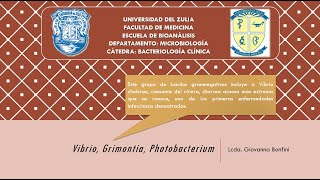 TEMA 10 Vibrio Grimonthia Photobacterium y Aeromonas [upl. by Blisse794]