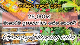 Grocery Shopping යමු  Sinhala Day vlog 🇱🇰 [upl. by Warren]