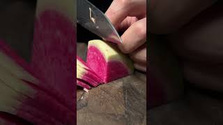 Cutting reddish with a long tail fyp knife knifesharpening ray knifesharpener rui knives [upl. by Fassold]