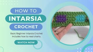 Intarsia Tutorial 1 Basic Intarsia Technique  Beginner Crochet Intarsia Tutorial  Easy To Follow [upl. by Lester]