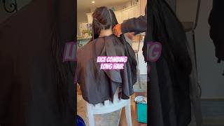 Lice combing long hair l lice services l small business explore hair nomorelice lice [upl. by Charo]