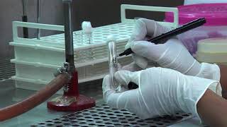 How to prepare a Serial Dilution [upl. by Ellennaj]