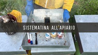 Apicoltura sistemo l’apiario [upl. by Nivlac]