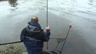 Barbel fishing on trent [upl. by Antonie]