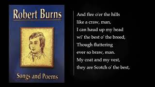 12 POEMS AND SONGS by Robert Burns Audiobook full length [upl. by Mcconaghy]