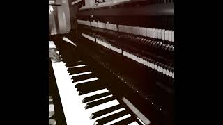 Sansarini  සංසාරිණී   Piano Cover [upl. by Baron812]