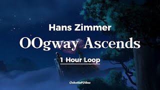 Hans Zimmer  Oogway Ascends  Kung Fu Panda  1 Hour Loop [upl. by Allesiram]