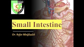 Anatomy of Small Intestine Duodenum Jejunum and Ileum [upl. by Llatsyrc]