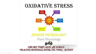 Oxidative stress in plants Plant physiology Tamil CSIR NET TNSET GATE  PGTRB BSc MSc [upl. by Annoj656]