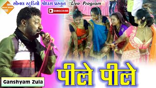 Part9  Pile Pile O More Raja पीले पीले ओ मोरे राजा  Ganshyam Zula  Live Dandiyaras  2019 [upl. by Eniledgam]